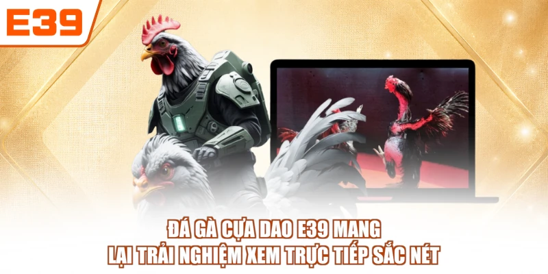 Đá gà cựa dao E39 mang lại trải nghiệm xem trực tiếp sắc nét